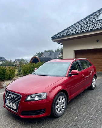 Audi A3 cena 29500 przebieg: 174000, rok produkcji 2009 z Zelów małe 29